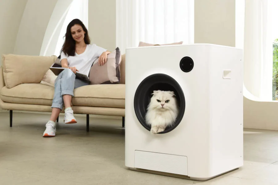 best automatic litterboxes